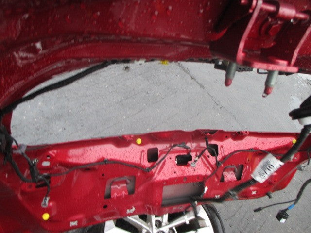 2023 FORD FOCUS MK4 BARE TAILGATE BOOT LID RED