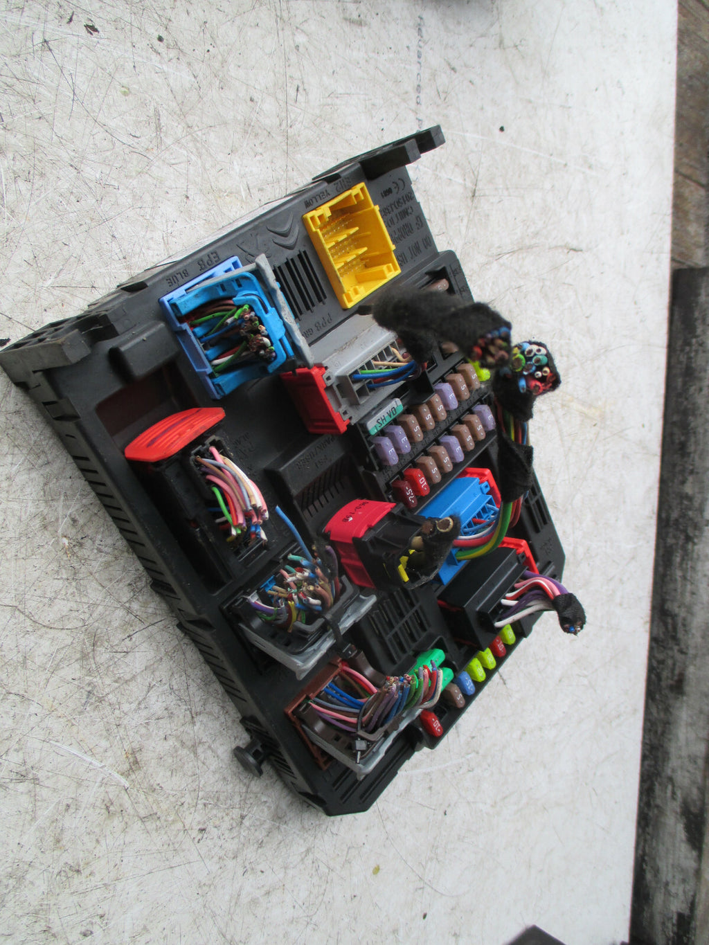 Image #2