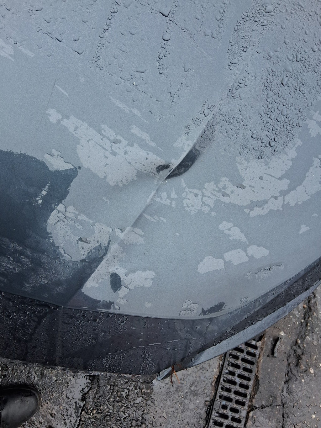 2022 SEAT LEON MK4 FRONT BONNET HOOD PANEL GREY