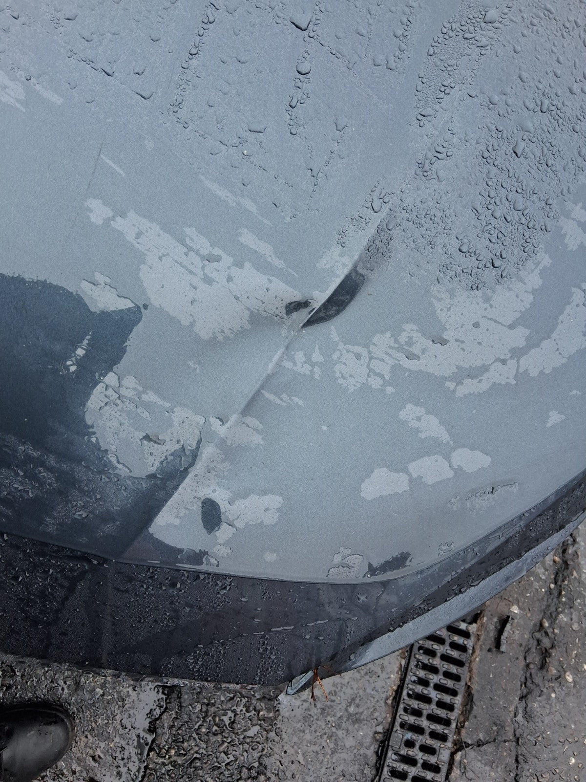 2022 SEAT LEON MK4 FRONT BONNET HOOD PANEL GREY