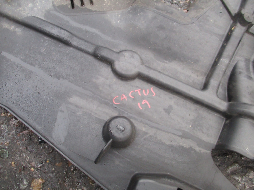 2019 CITROEN CACTUS MOLDING 9824336180