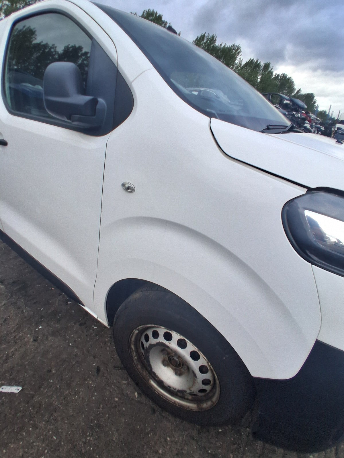 2019 CITROEN DISPATCH MK3 OSF DRIVER SIDE FRONT WING PANEL WHITE EWP