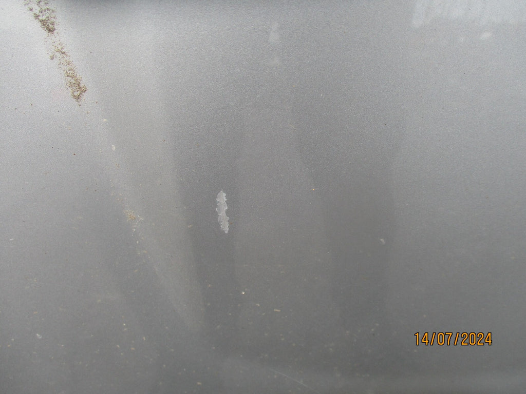 KIA SEDONA 2006 MK1 FRONT COMPLETE BONNET HOOD SILVER