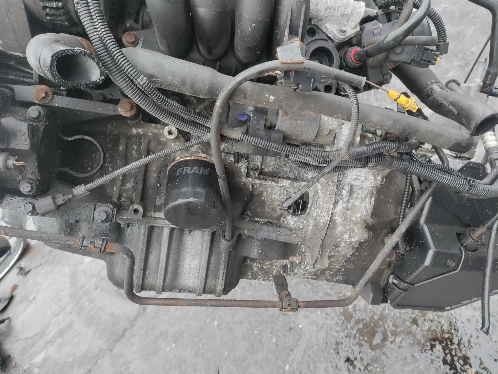 2002 FORD FOCUS MK1 1.4 PETROL ENGINE COMPLETE  62K MILEAGE FXDB