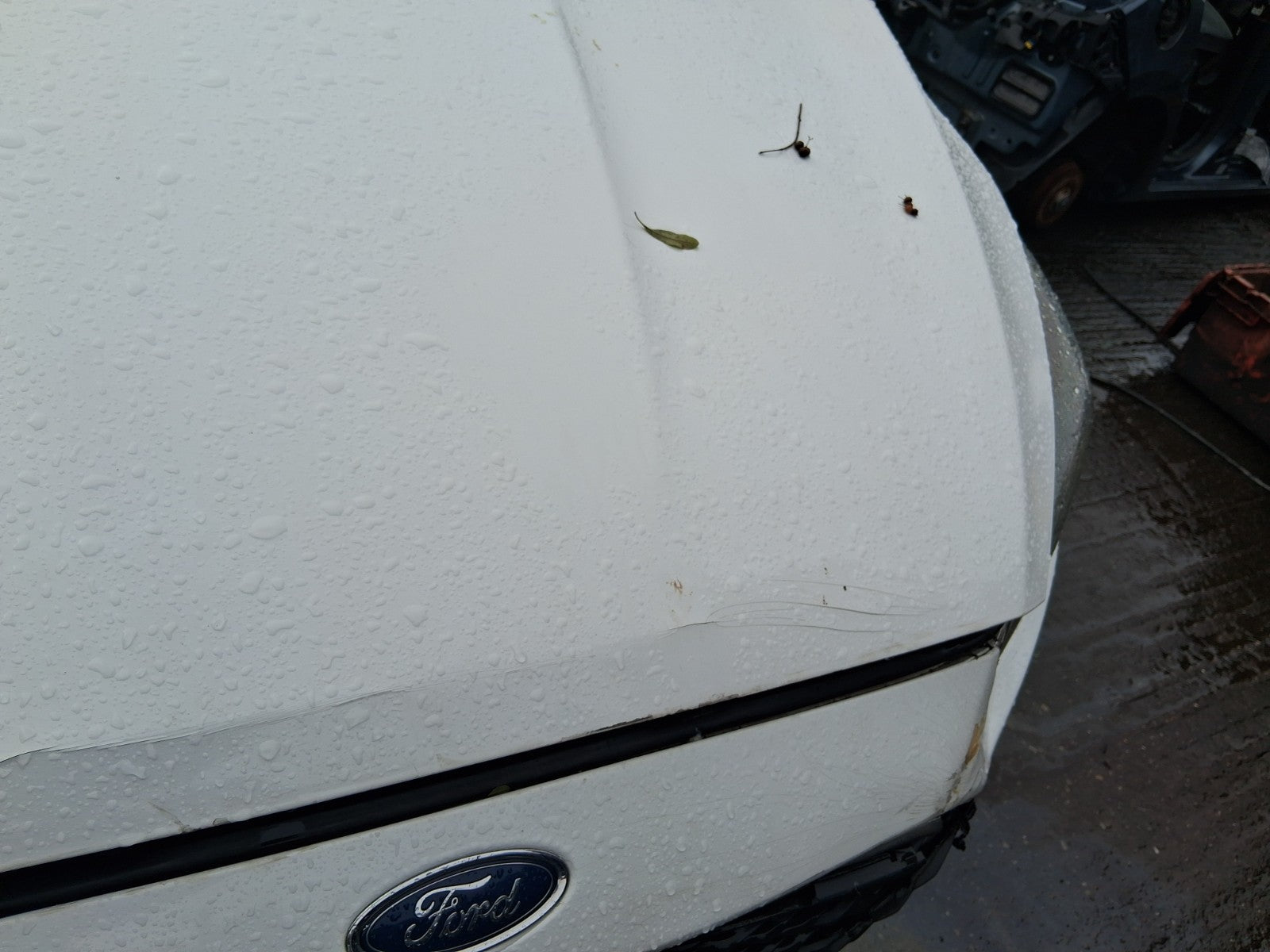 2017 FORD FOCUS MK3 ST LINE FRONT BONNET HOOD PANEL WHITE 5F