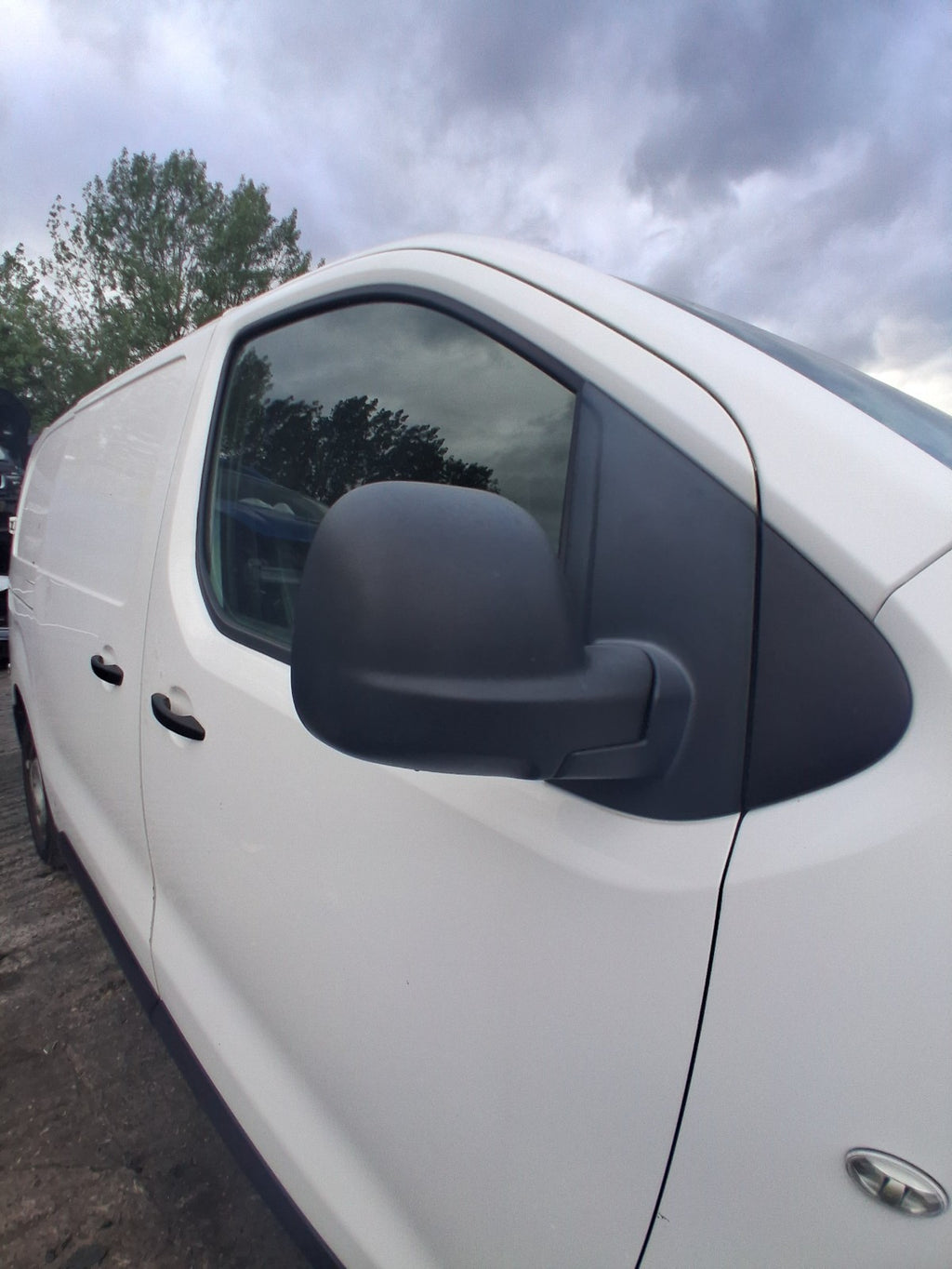 2019 CITROEN DISPATCH VIVARO MK3 OSF DRIVER SIDE FRONT WING MIRROR BLACK