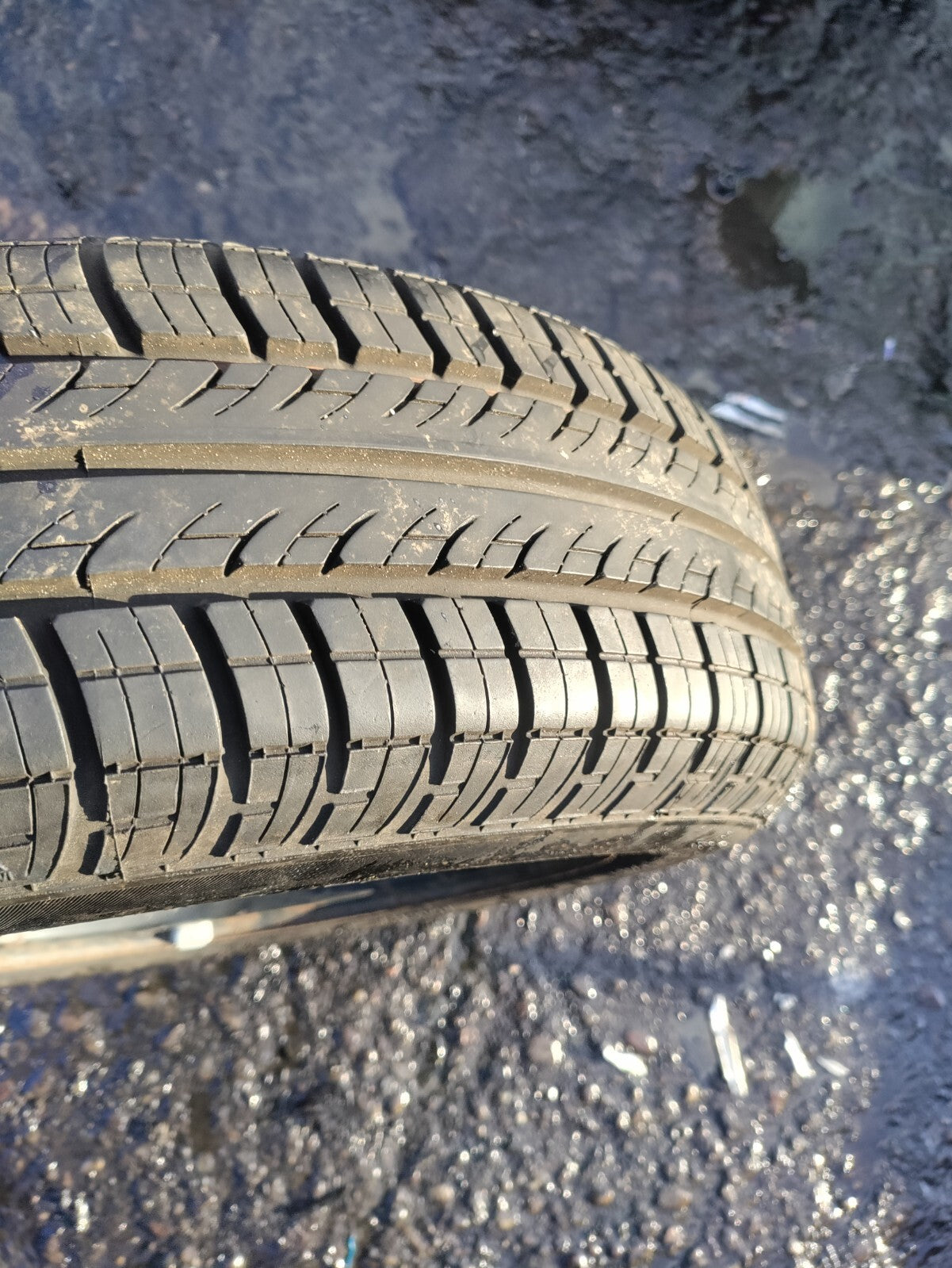 FORD FIESTA MK6 2006 STEEL WHEEL WITH TYRE 175/65R14