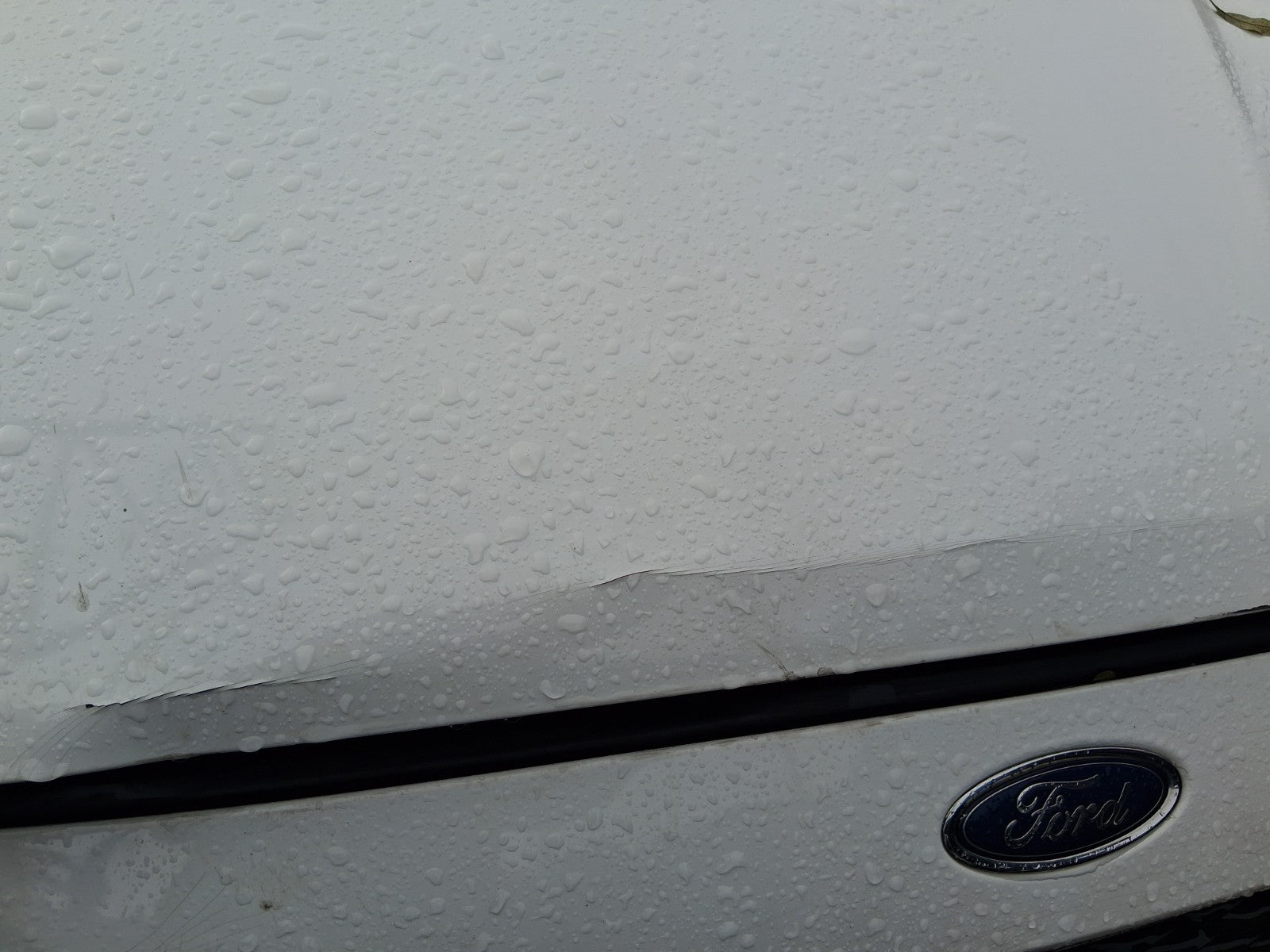 2017 FORD FOCUS MK3 ST LINE FRONT BONNET HOOD PANEL WHITE 5F