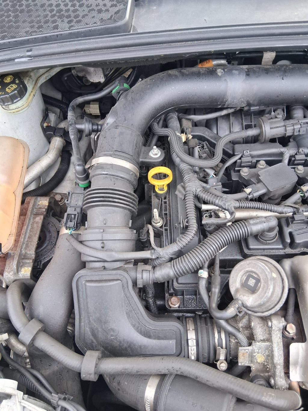 2017 FORD FOCUS MK3 1.0 PETROL ECOBOOST BARE ENGINE WITH PUMPS & INJECTORS M1DD