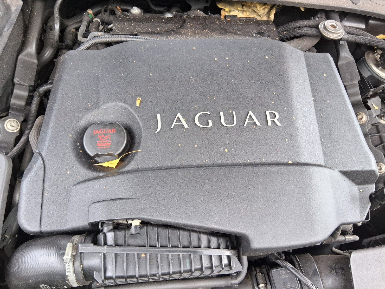 2012 JAGUAR XJ X351 3.0 DIESEL ENGINE COVER TOP