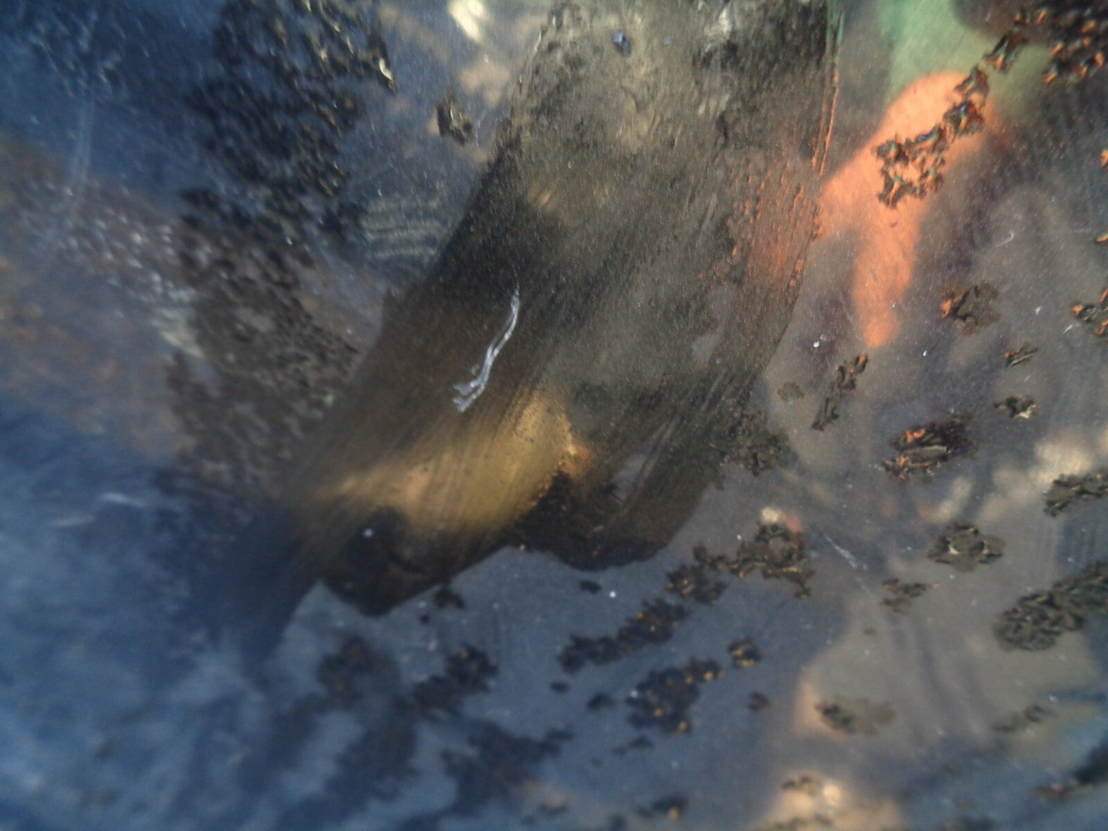 VAUXHALL INSIGNIA 2012 2.0 CDTI OSF DRIVER SIDE FRONT COMPLETE DOOR BLACK