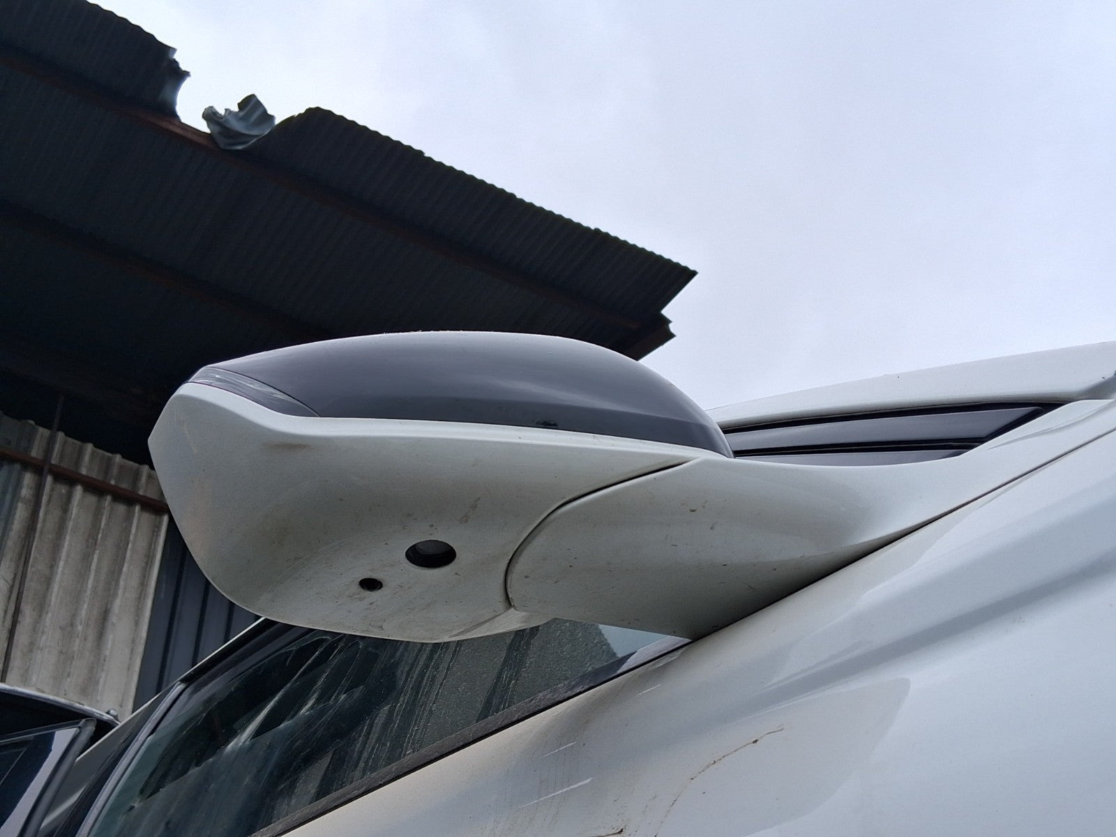 2023 DS DS 4 CROSSOVER OSF DRIVER SIDE FRONT POWERFOLD WING MIRROR PUDDLE LIGHT