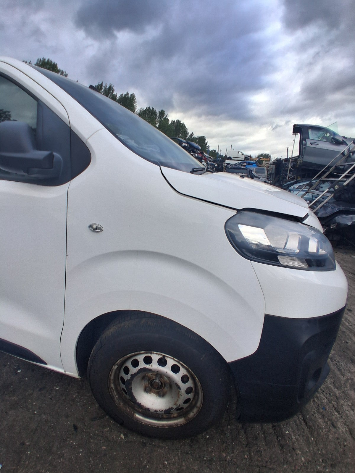 2019 CITROEN DISPATCH MK3 OSF DRIVER SIDE FRONT WING PANEL WHITE EWP