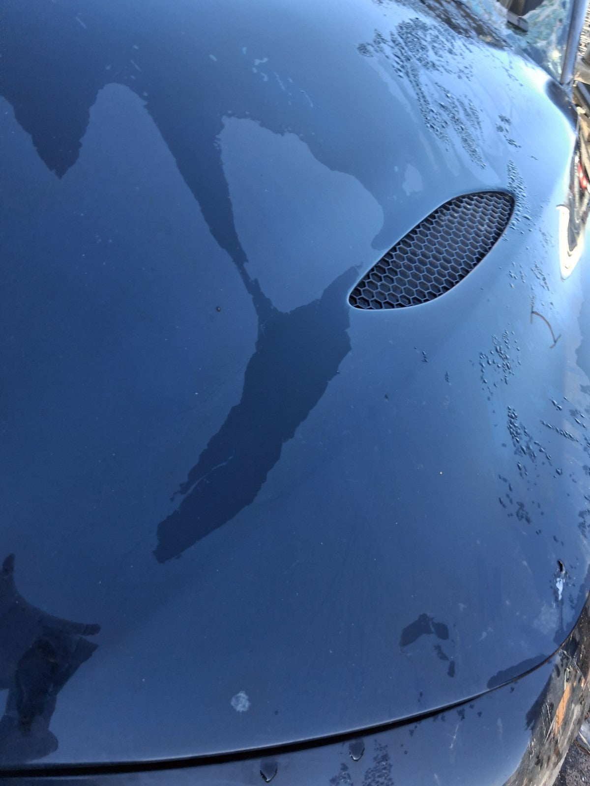 2018 ALFA ROMEO GIULIA 952 QUADRIFOGLIO FRONT BONNET HOOD PANEL BLACK 408