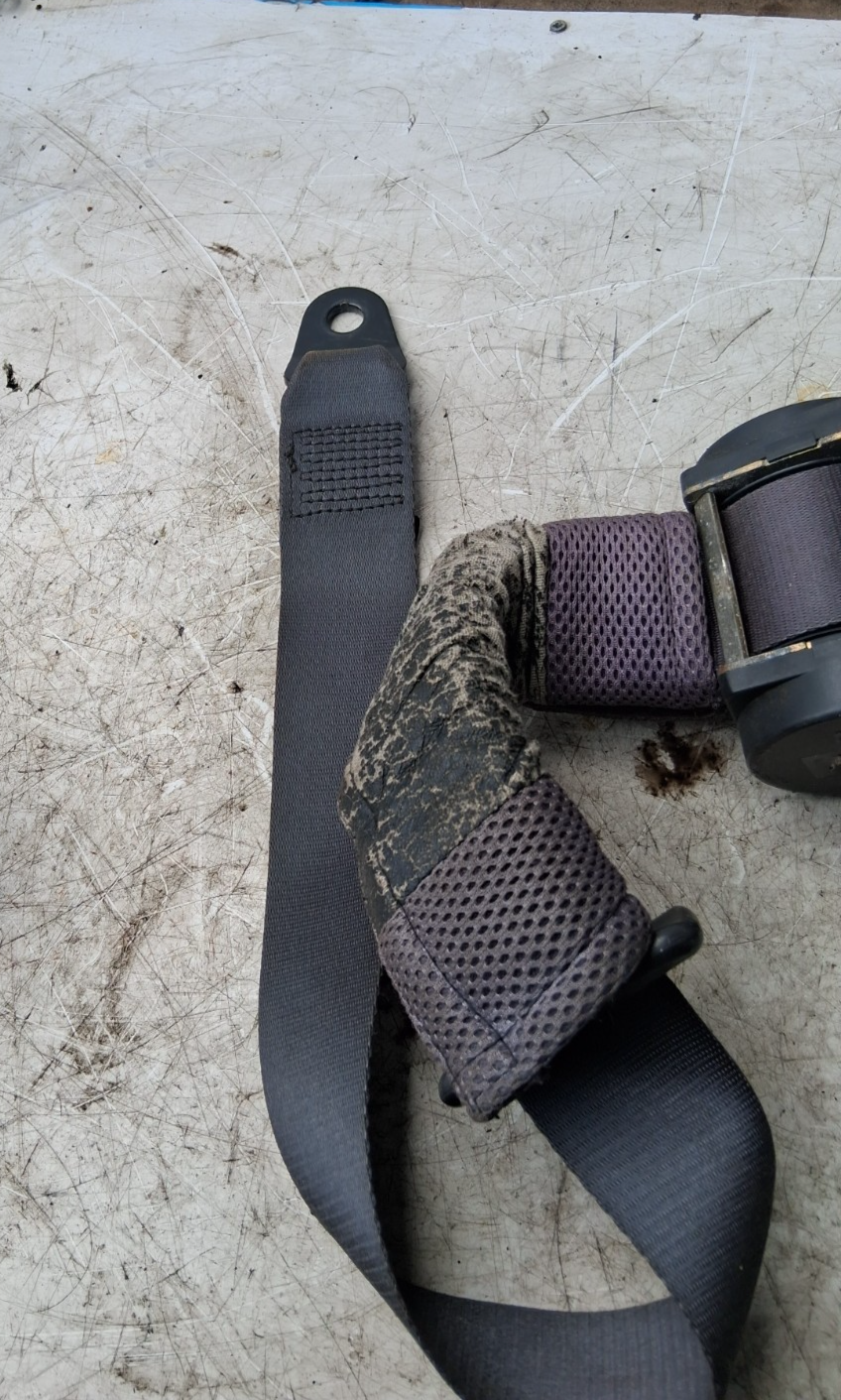 1996 MG F OSF DRIVER SIDE FRONT RIGHT SEAT BELT 6V0820951CRYP
