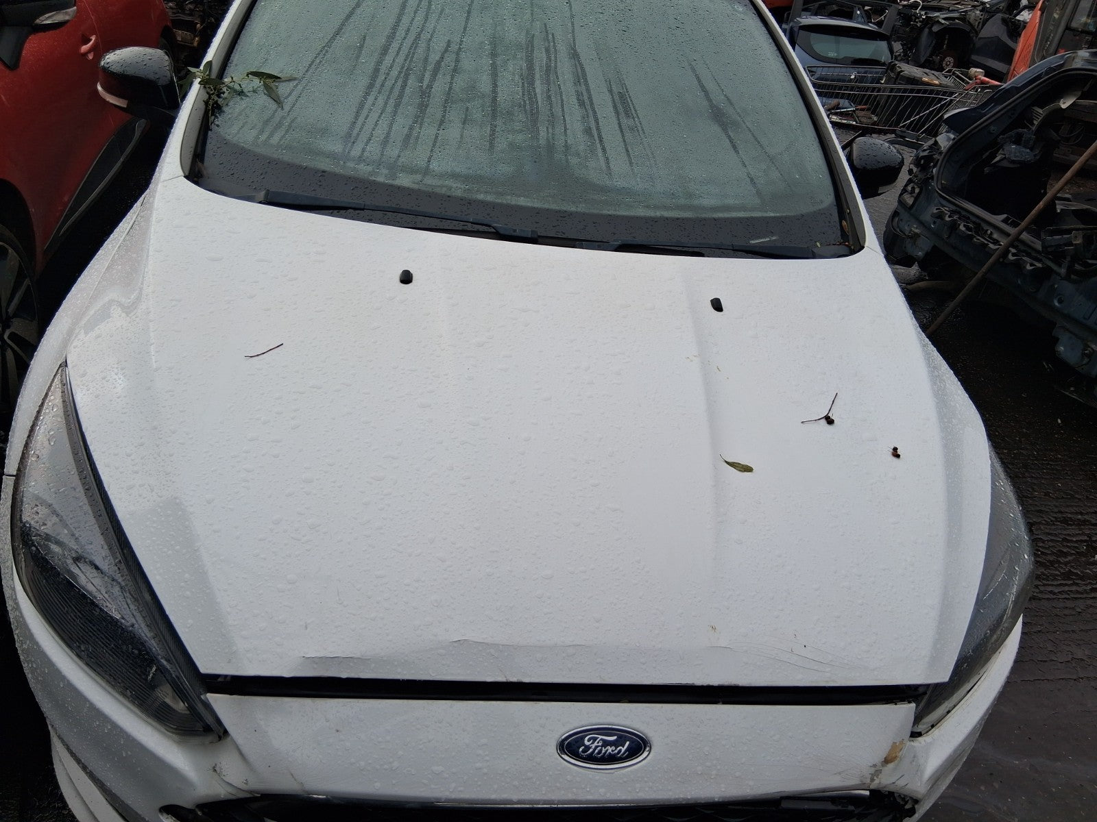 2017 FORD FOCUS MK3 ST LINE FRONT BONNET HOOD PANEL WHITE 5F