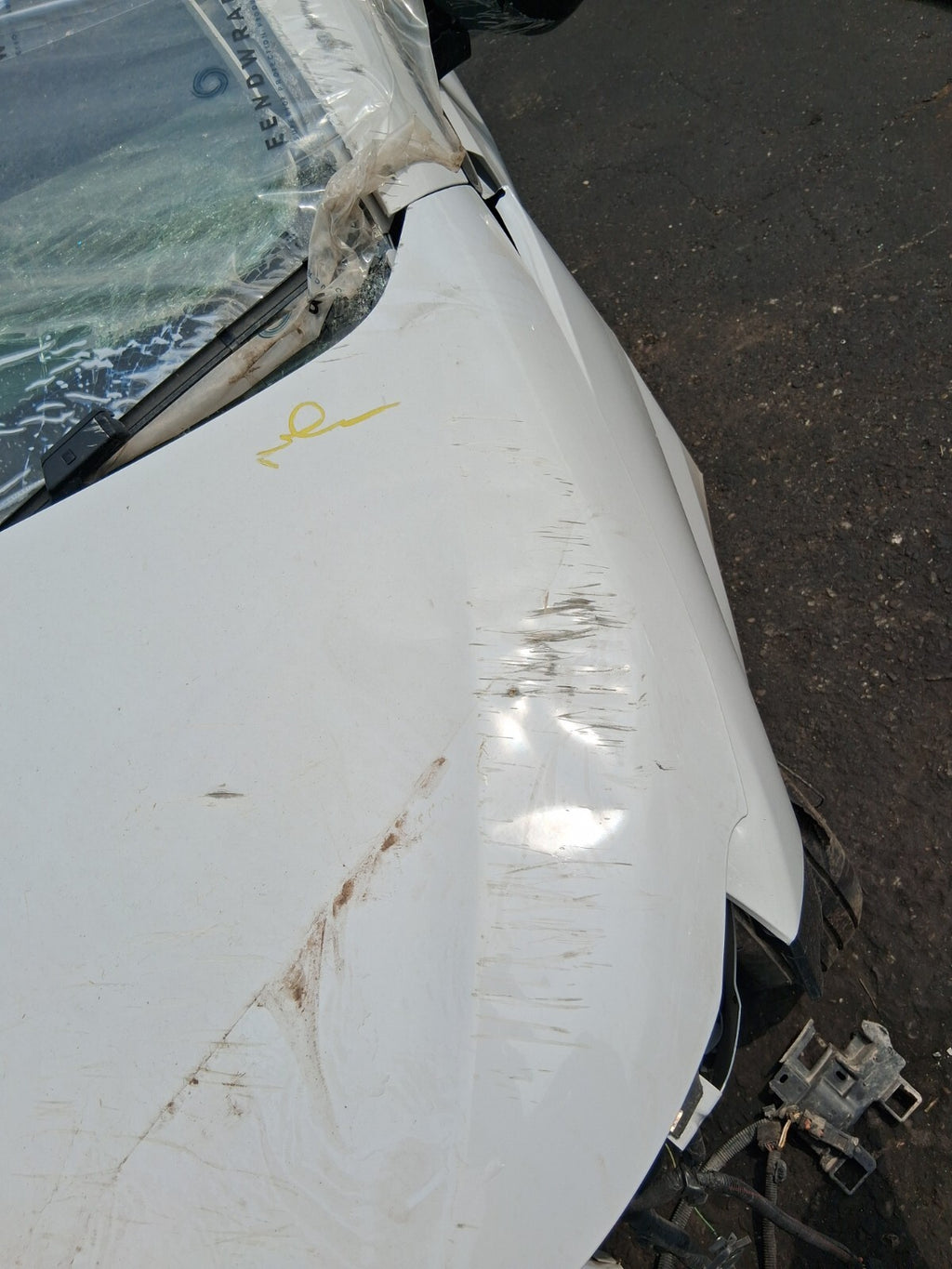 2024 TOYOTA PROACE CITY FRONT BONNET HOOD PANEL DAMAGED EPR ICY WHITE