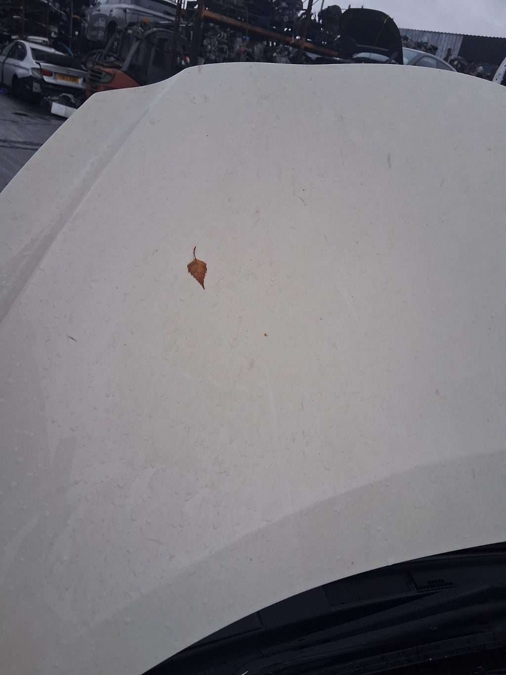 2018 NISSAN MICRA K14 FRONT BONNET HOOD PANEL IVORY D16