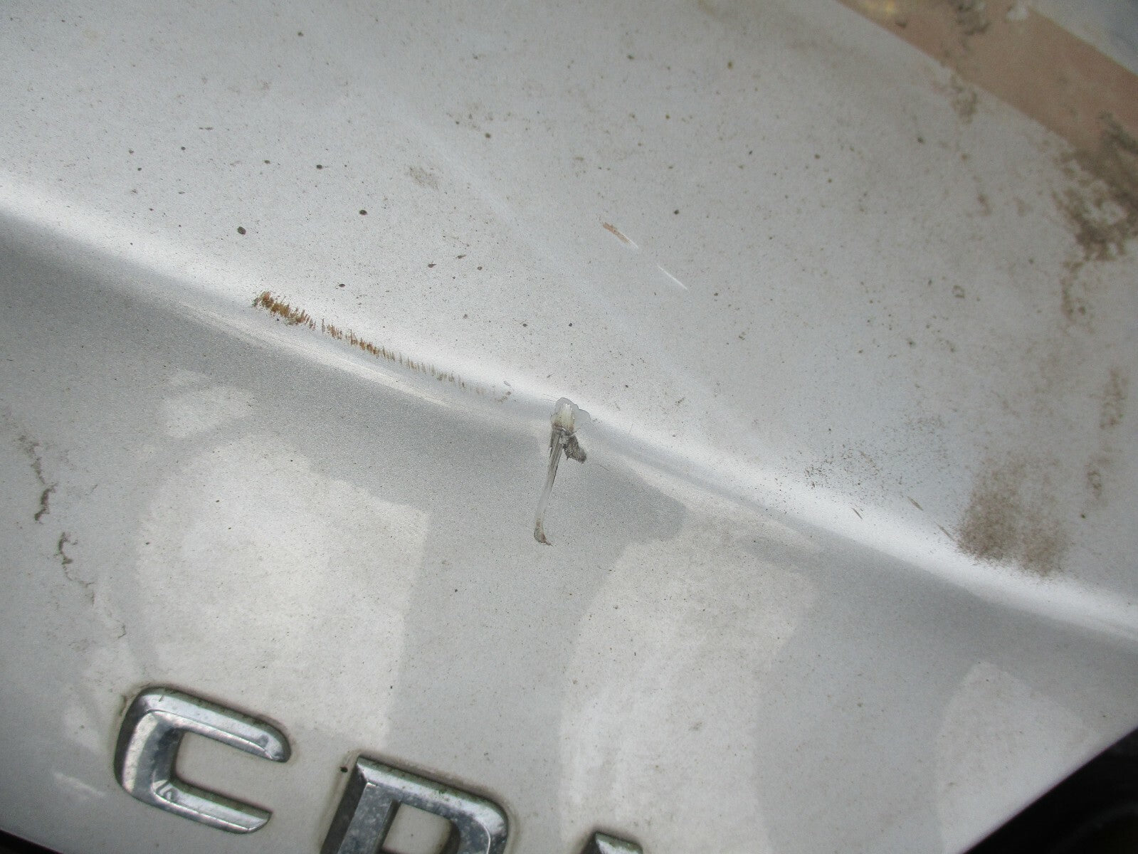 MERCEDES E CLASS W211 BOOTLID TAILGATE BOOT COMPLETE SILVER