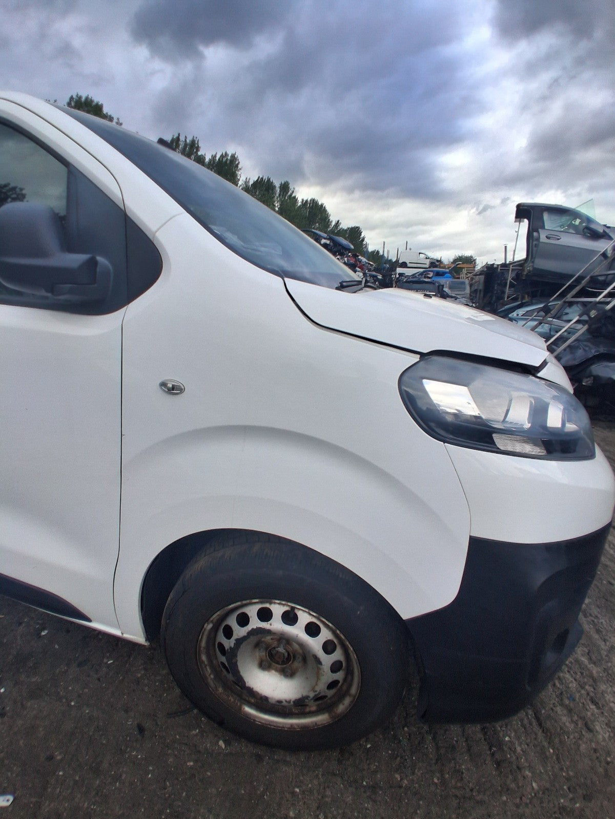 2019 CITROEN DISPATCH MK3 OSF DRIVER SIDE FRONT WING PANEL WHITE EWP