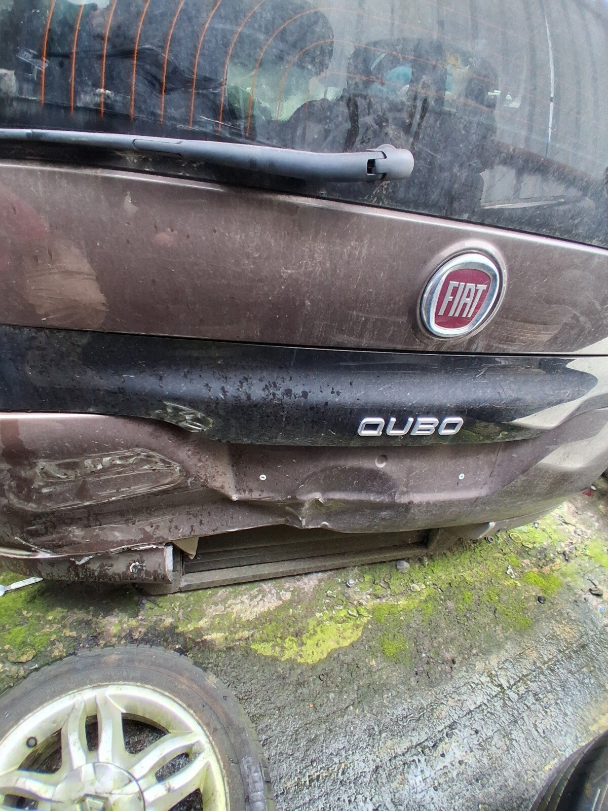 2019 FIAT FIORINO QUBO TAILGATE BOOTLID MAGNETICO BRONZE METALLIC 444