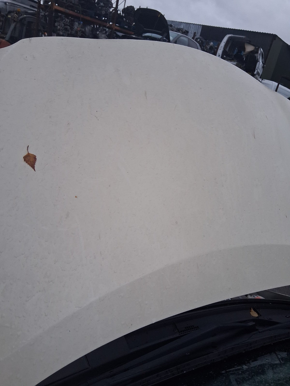 2018 NISSAN MICRA K14 FRONT BONNET HOOD PANEL IVORY D16