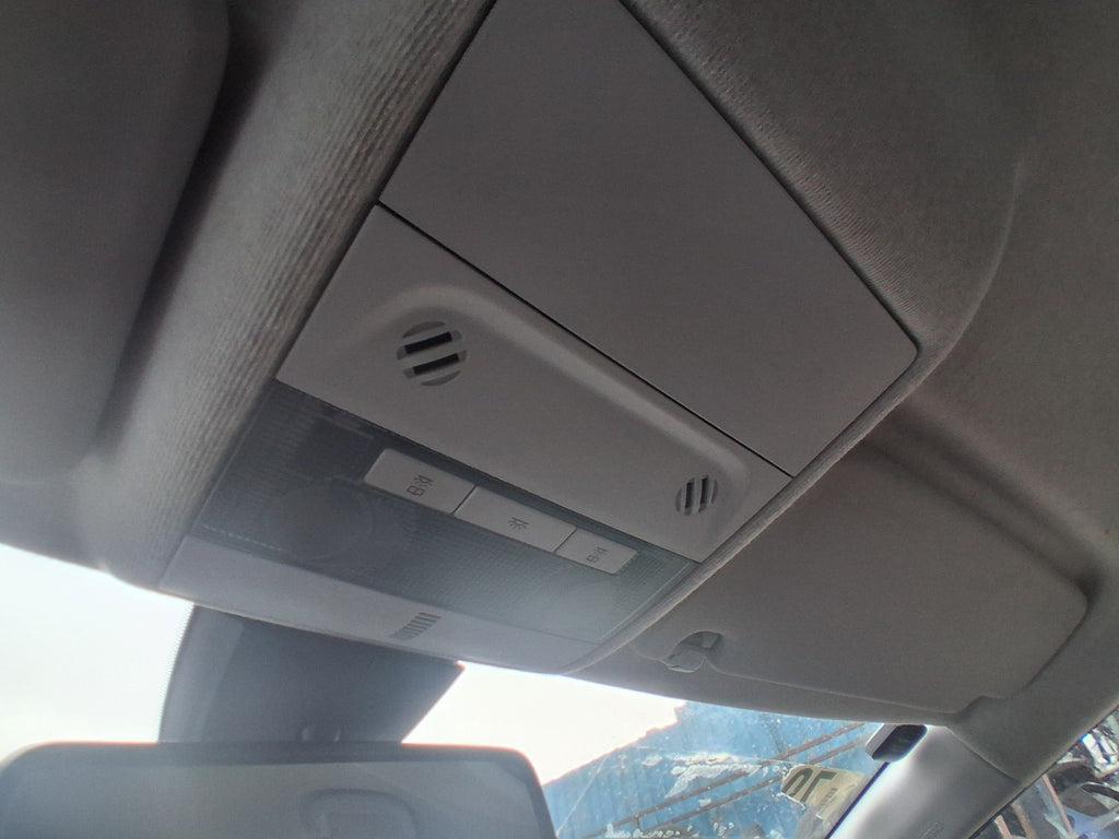 2019 VAUXHALL CORSA E INTERIOR ROOF READING COURTESY LIGHT