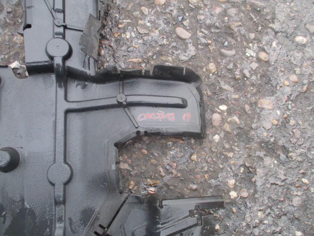 2019 CITROEN CACTUS MOLDING 9824336180