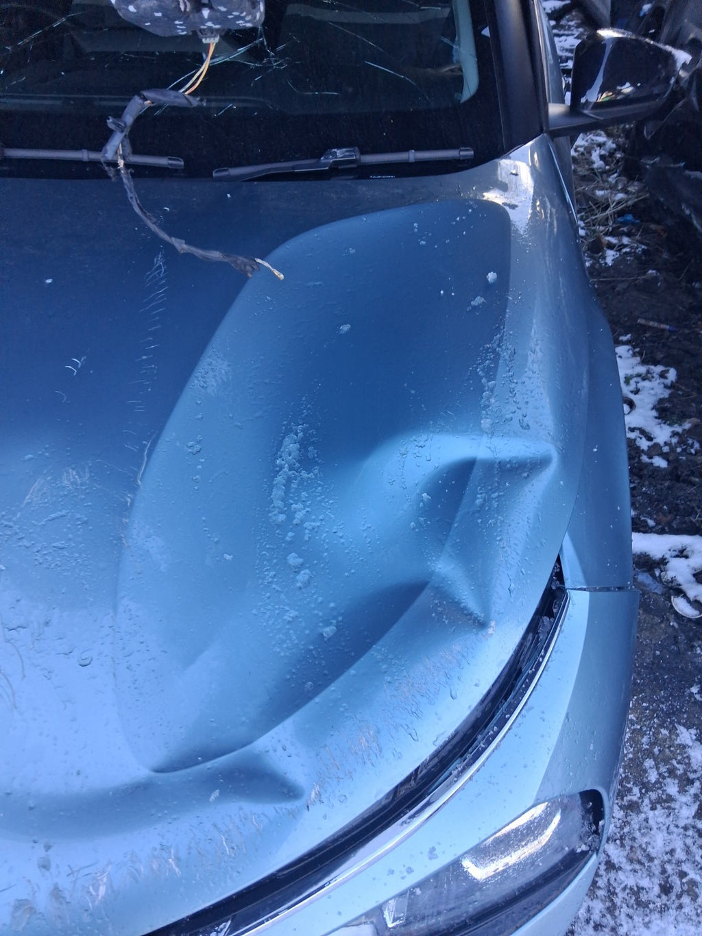 2023 CITROEN C4 MK3 FRONT BONNET HOOD PANEL OLBIA BLUE EQN