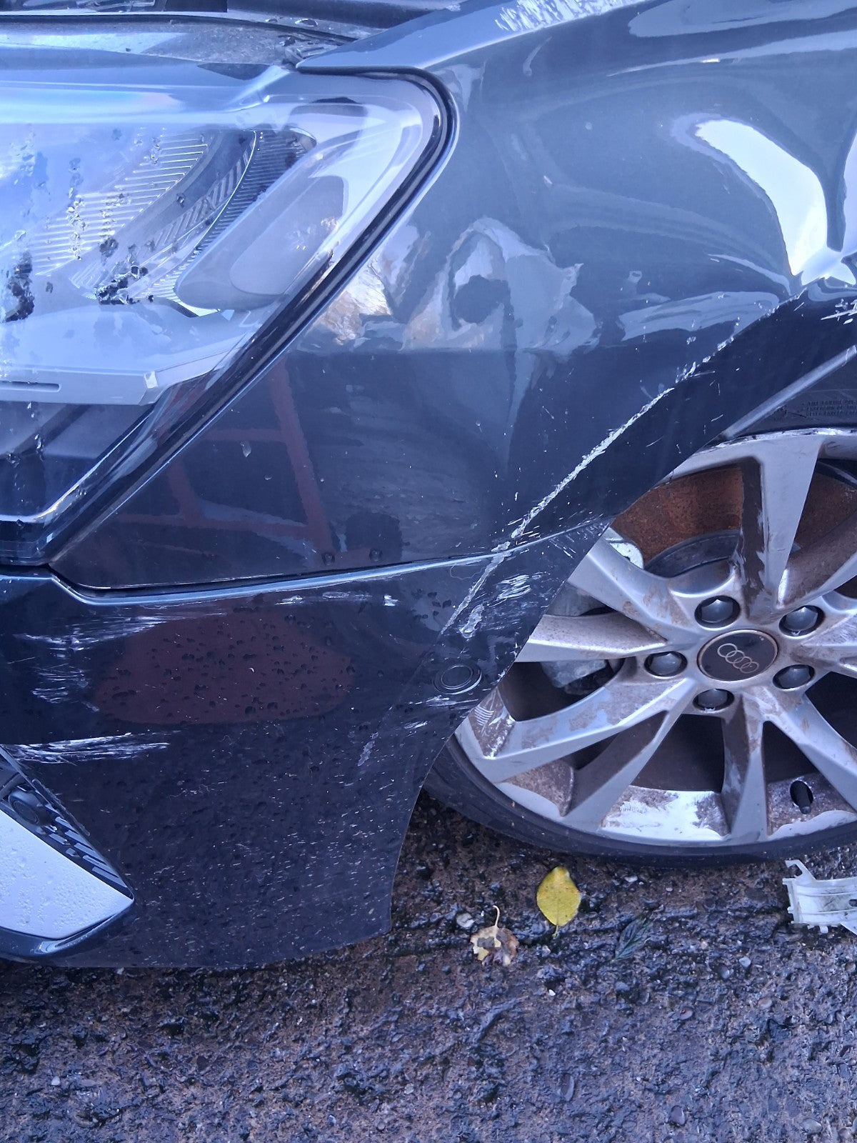 2025 AUDI A3 8Y HATCH FACELIFT 6 x PDC PARKING SENSORS & WIRING LOOM 8Y0971085BJ
