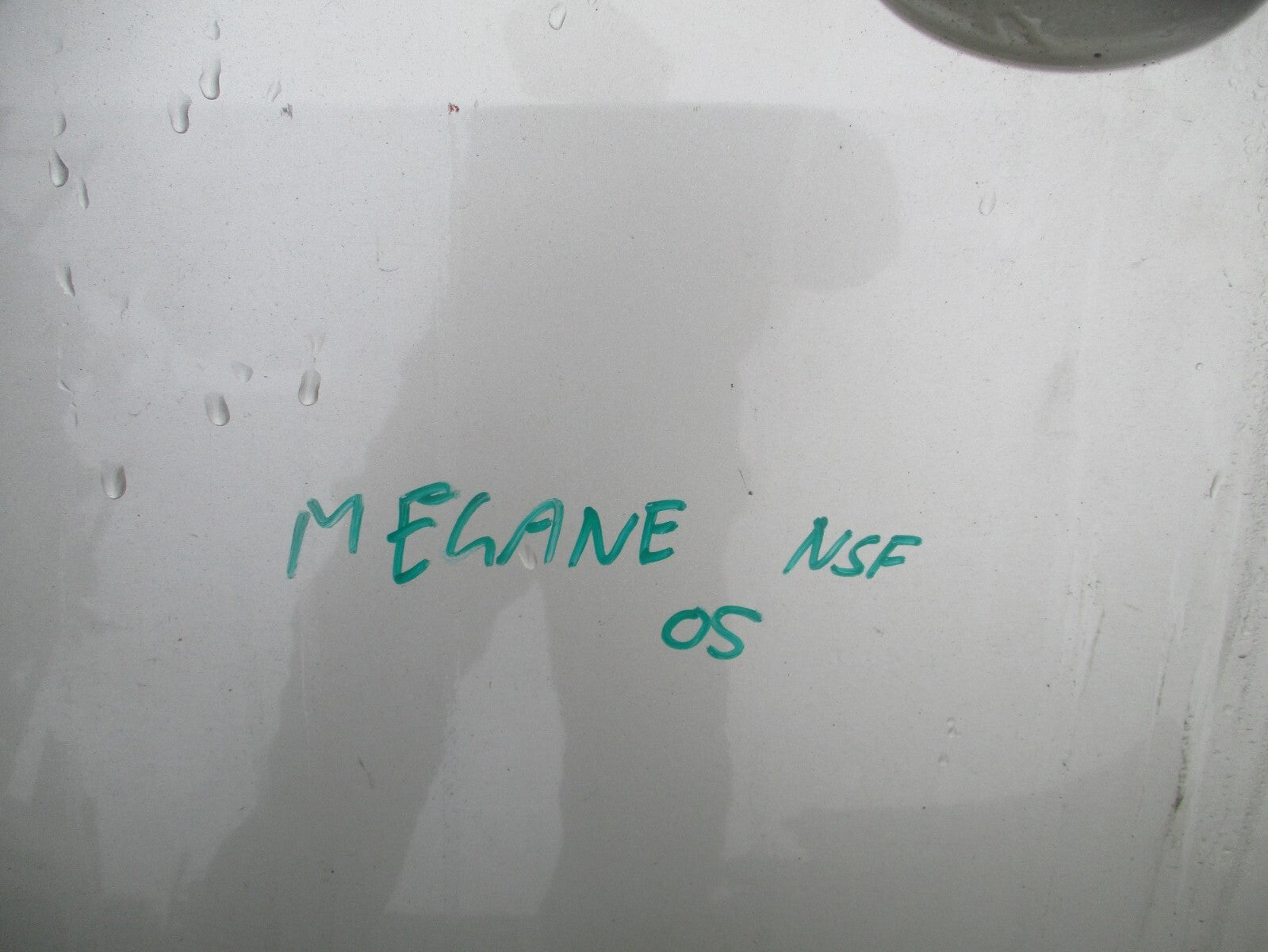 2005 RENAULT MEGANE MK2 NSF PASSENGER SIDE FRONT BARE DOOR