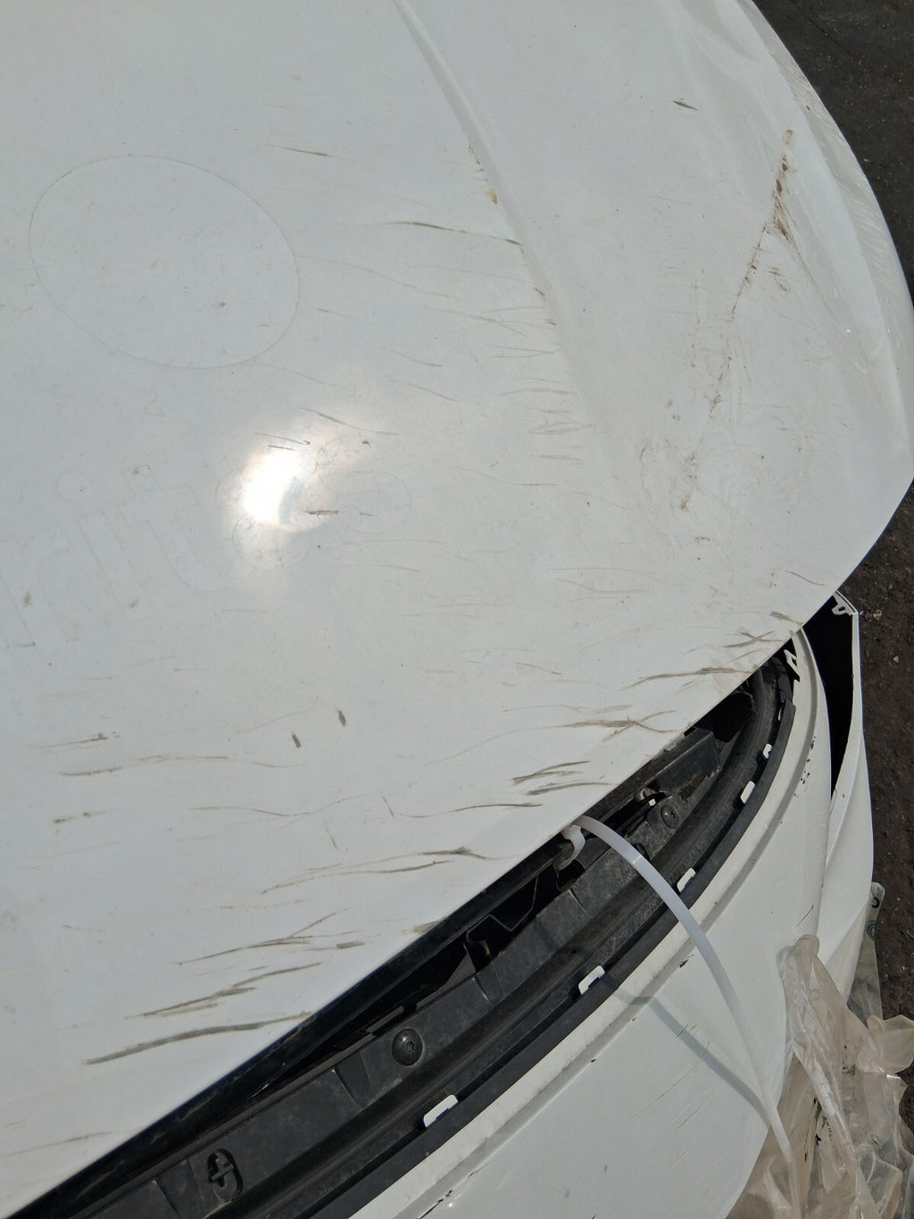 2024 TOYOTA PROACE CITY FRONT BONNET HOOD PANEL DAMAGED EPR ICY WHITE