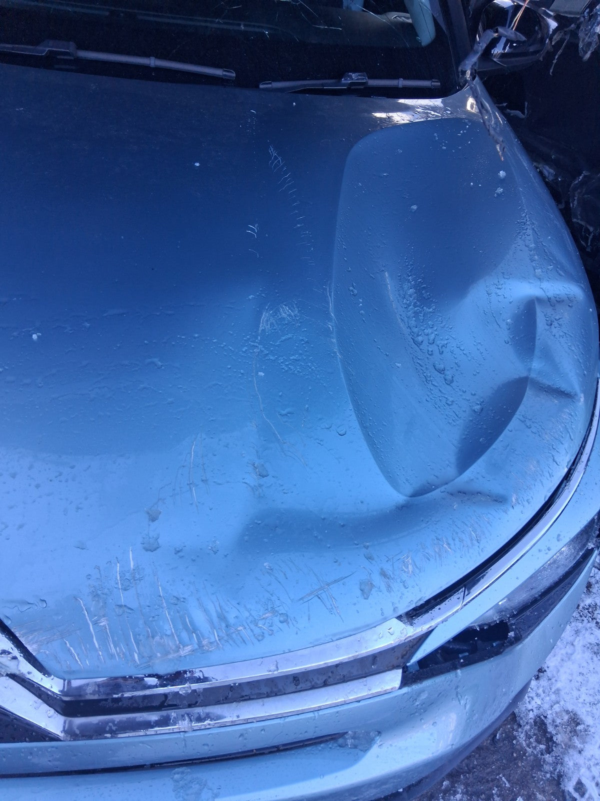 2023 CITROEN C4 MK3 FRONT BONNET HOOD PANEL OLBIA BLUE EQN