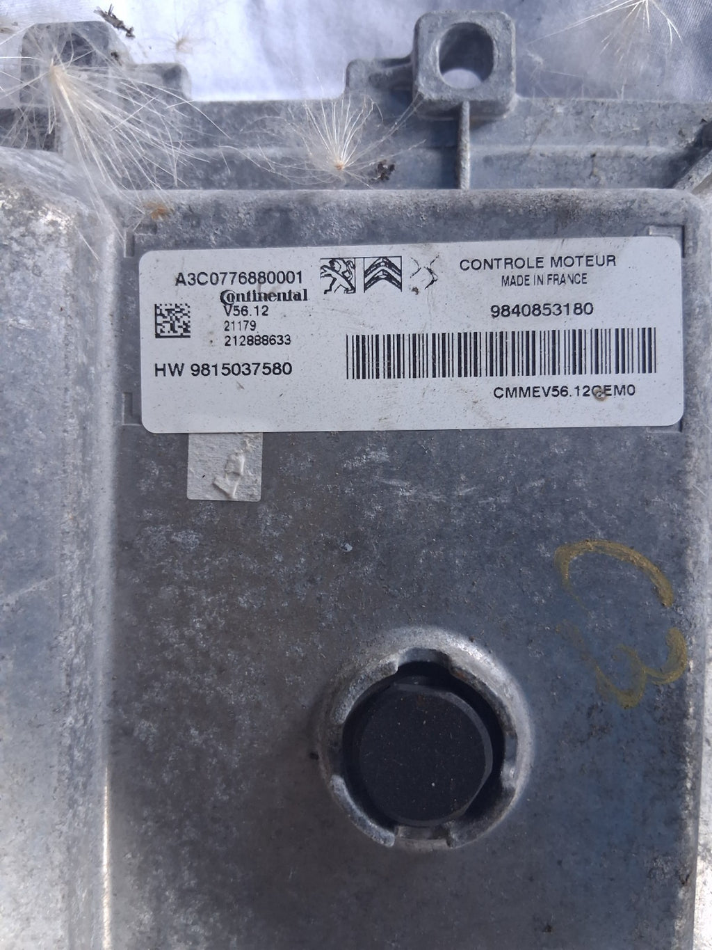 Image #3
