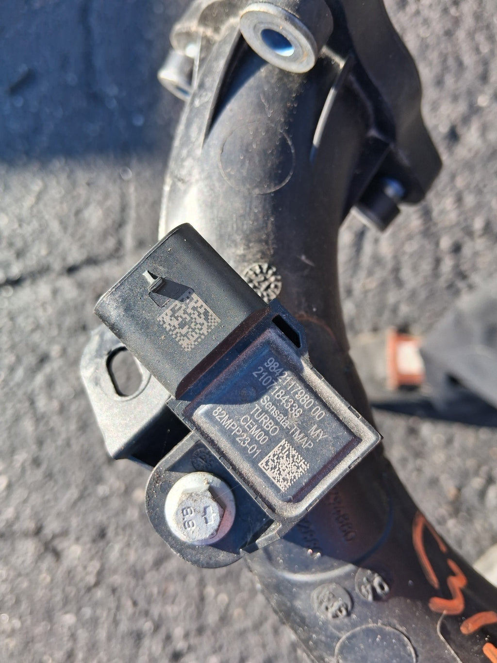 Image #7