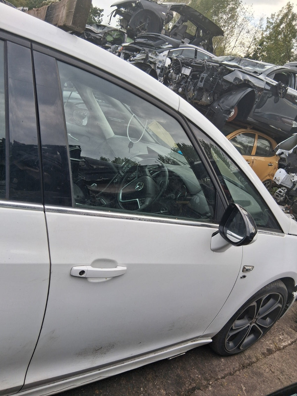 Image #3