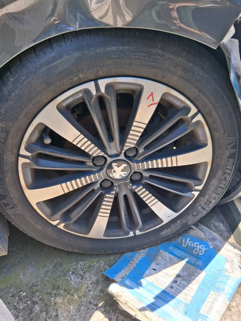 Image #2
