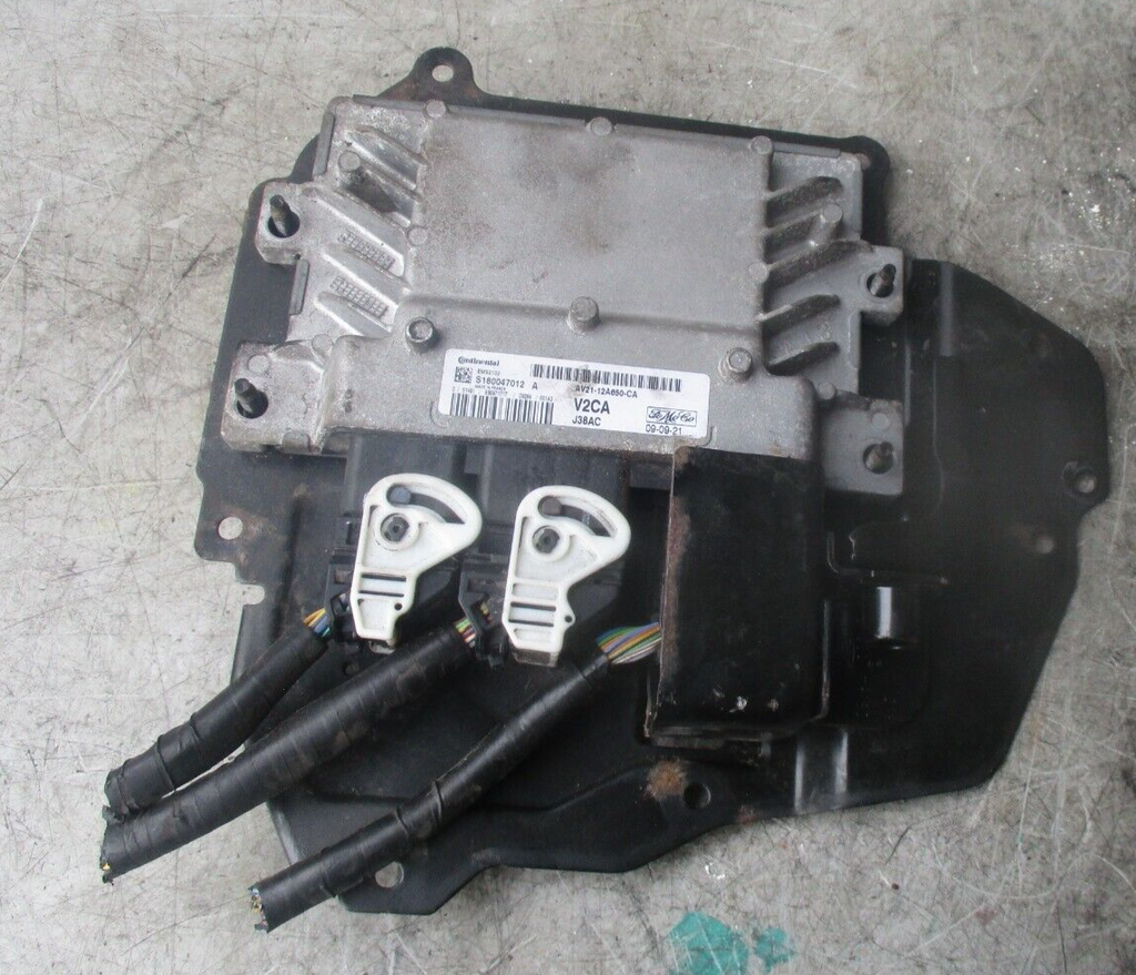 Image #2