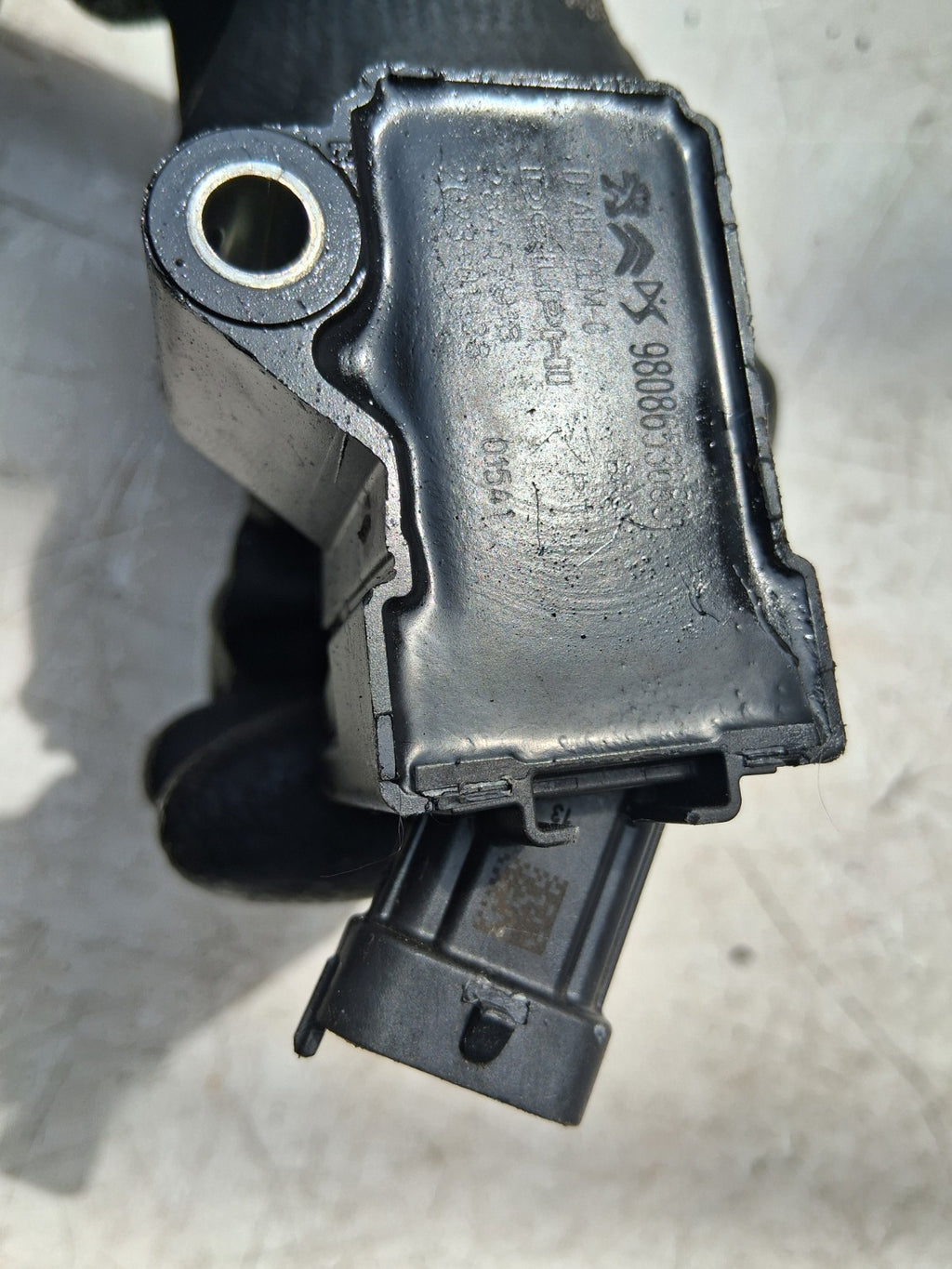 Image #6