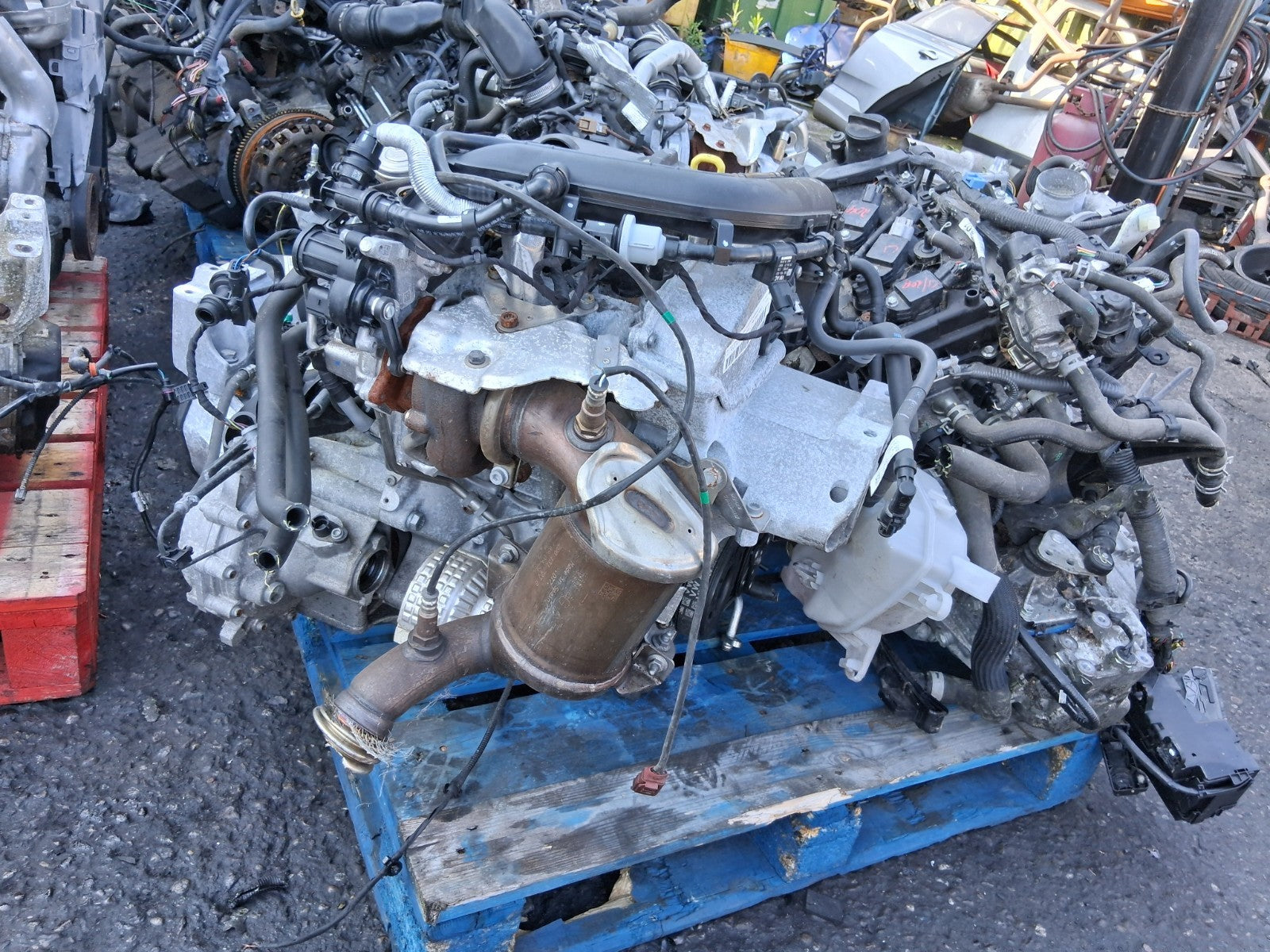 Image #2