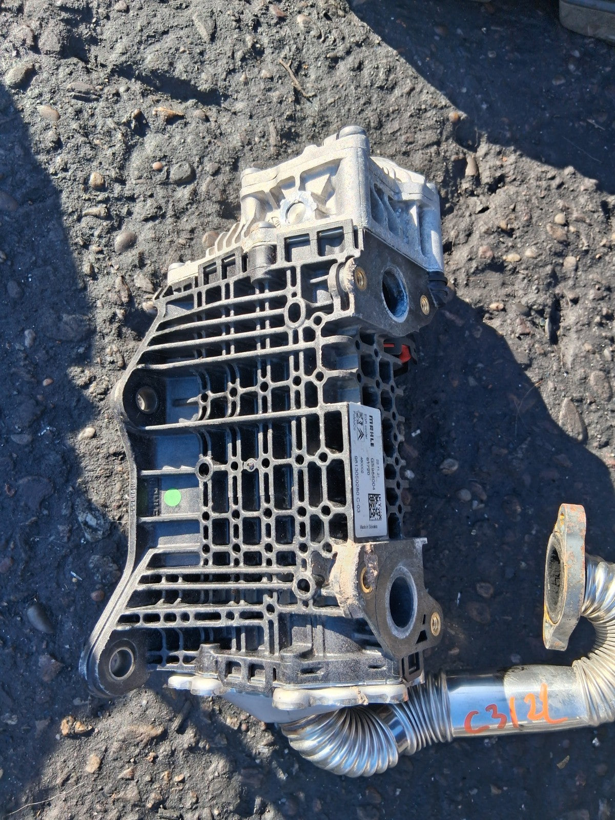 Image #4