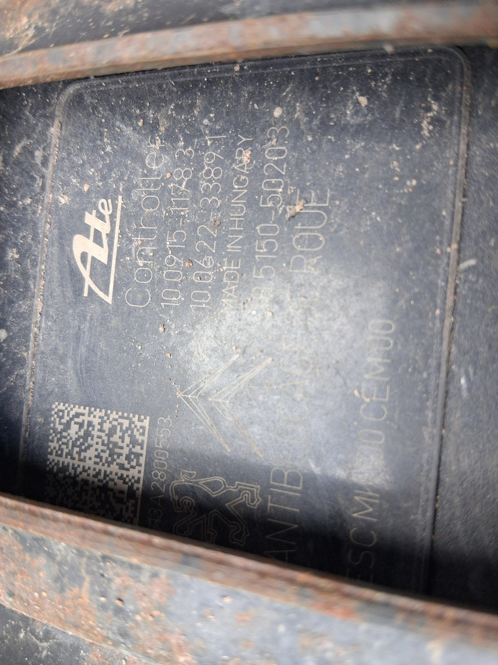 Image #6