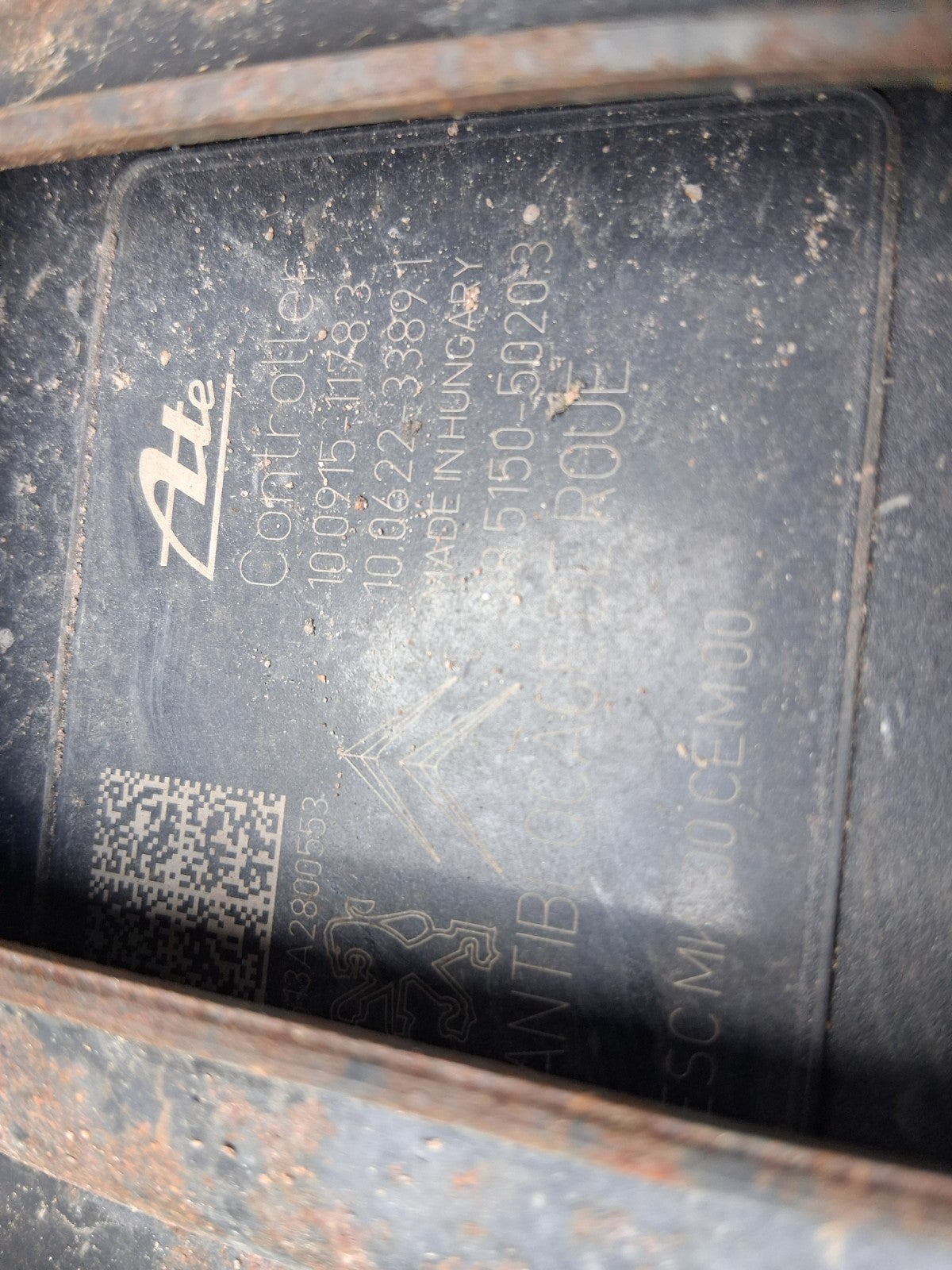 Image #6