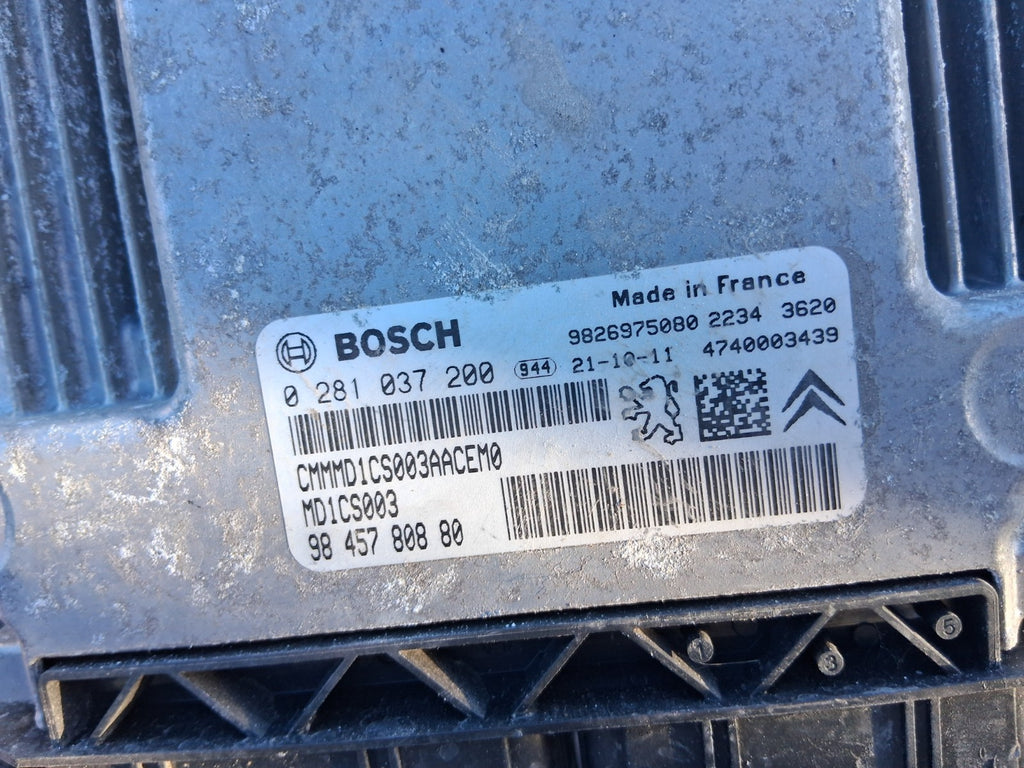 Image #4